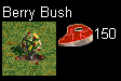 berries