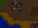jungle tile set