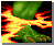 Slow icon