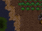 wetland tile set